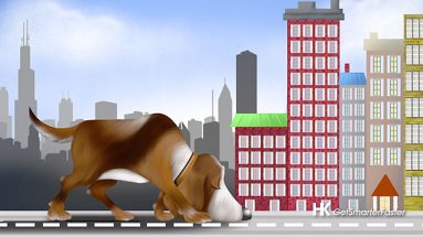 Sniff Out Buying Downtown Chicago Condos